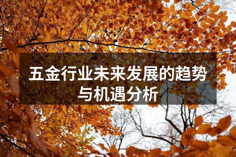 五金行业未来发展的趋势与机遇分析